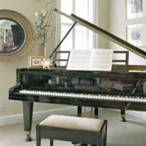 לוח גבס פיאנו PIANO  אקוסטי 260/120