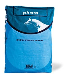 גבס רגיל גבס רגיל
